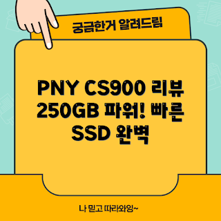 PNY CS900, SSD 250GB, SSD 추천, SSD 리뷰, 250GB SSD