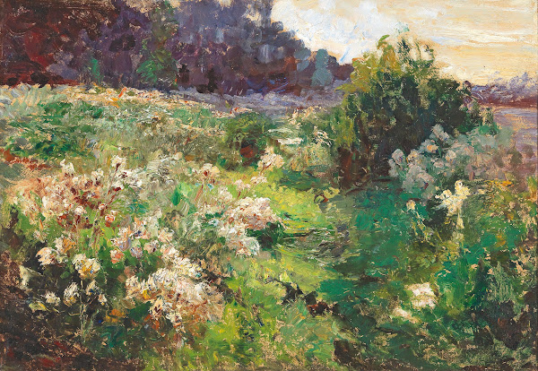 Meadow