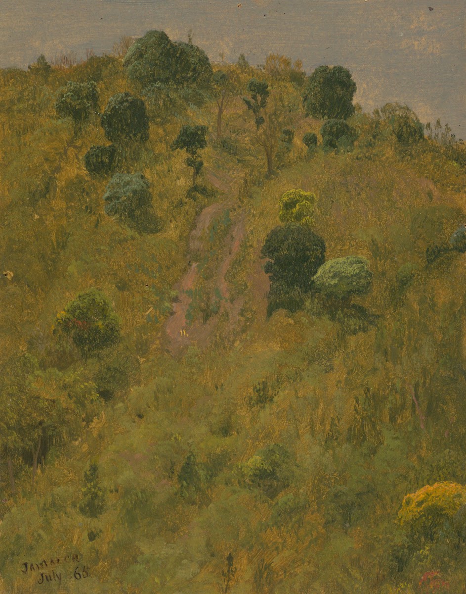 Landscape V 1865