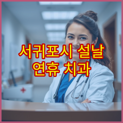 서귀포시 설날 연휴 치과 진료 가능한 곳 운영 정보