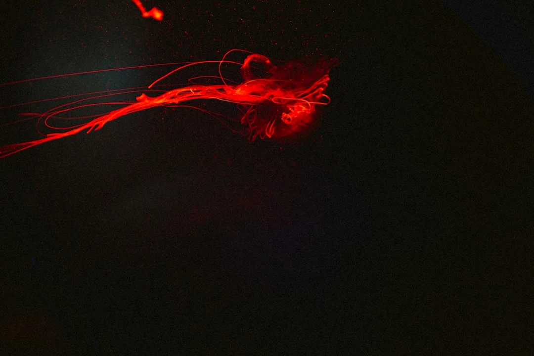 How AI-Driven Nutrition Tracking Creates Sustainable Habits