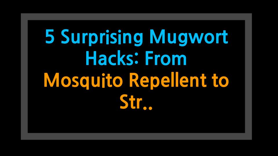 5 Surprising Mugwort Hacks: From Mosquito Repellent to Stress Relief - Try These at Home!