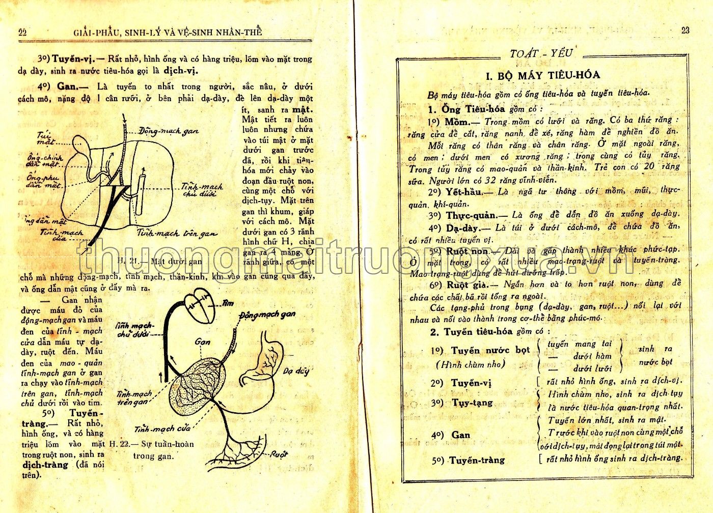 Vạn vật học lớp đệ tứ (1959) - Trang 12