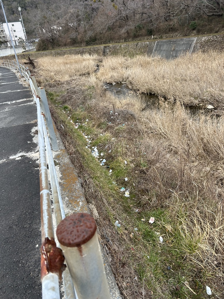 有野川沿いのガードレール脇に散乱していたゴミ