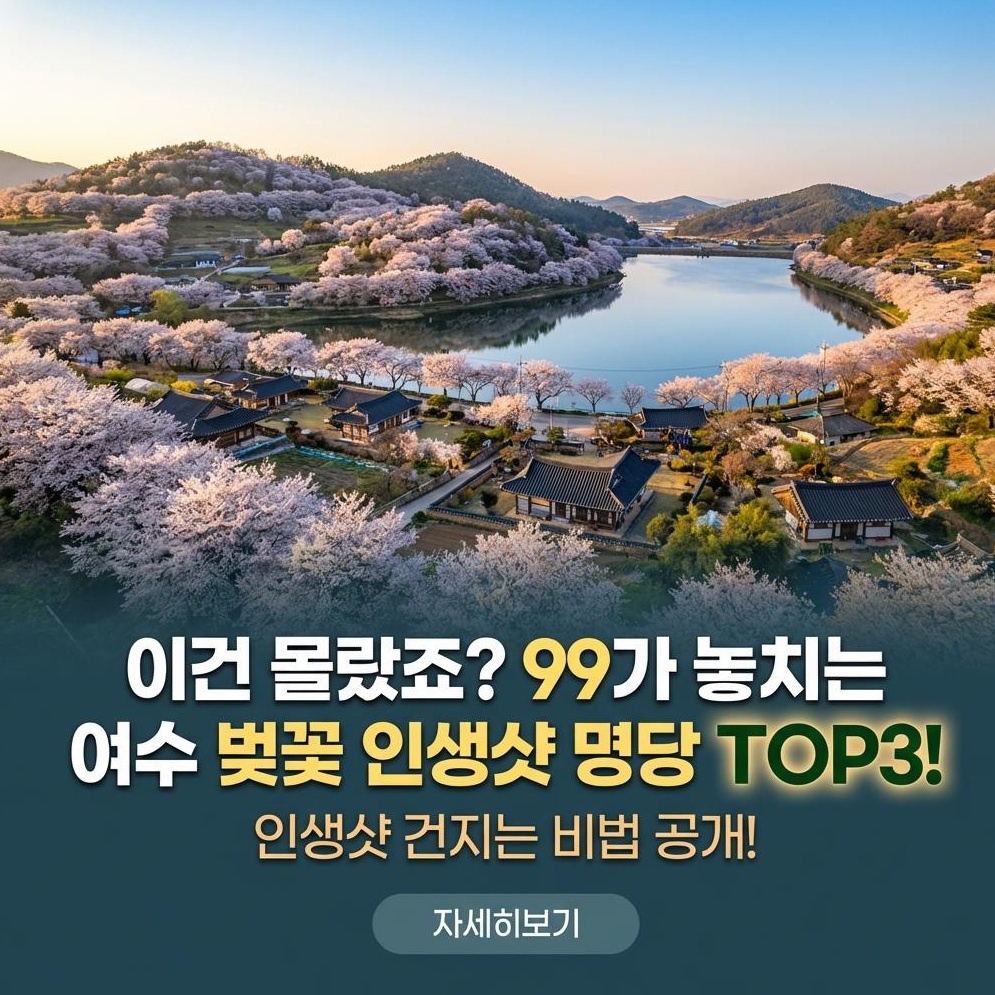 여수 승월마을 벚꽃: 인생샷 명소 완벽 가이드