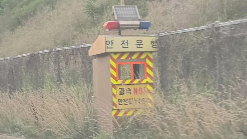 출처: 온라인 커뮤니티