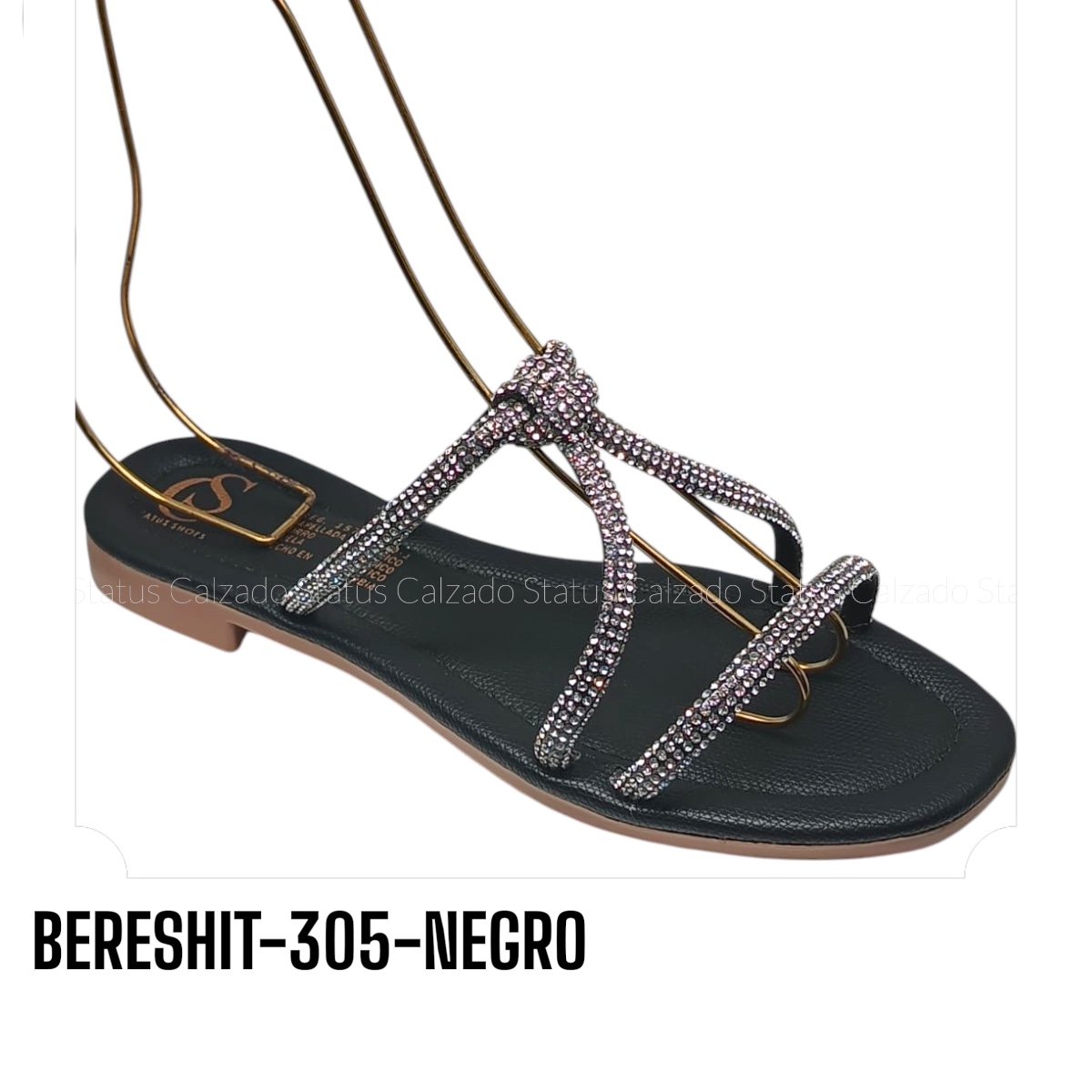 BERESHIT-305-NEGRO