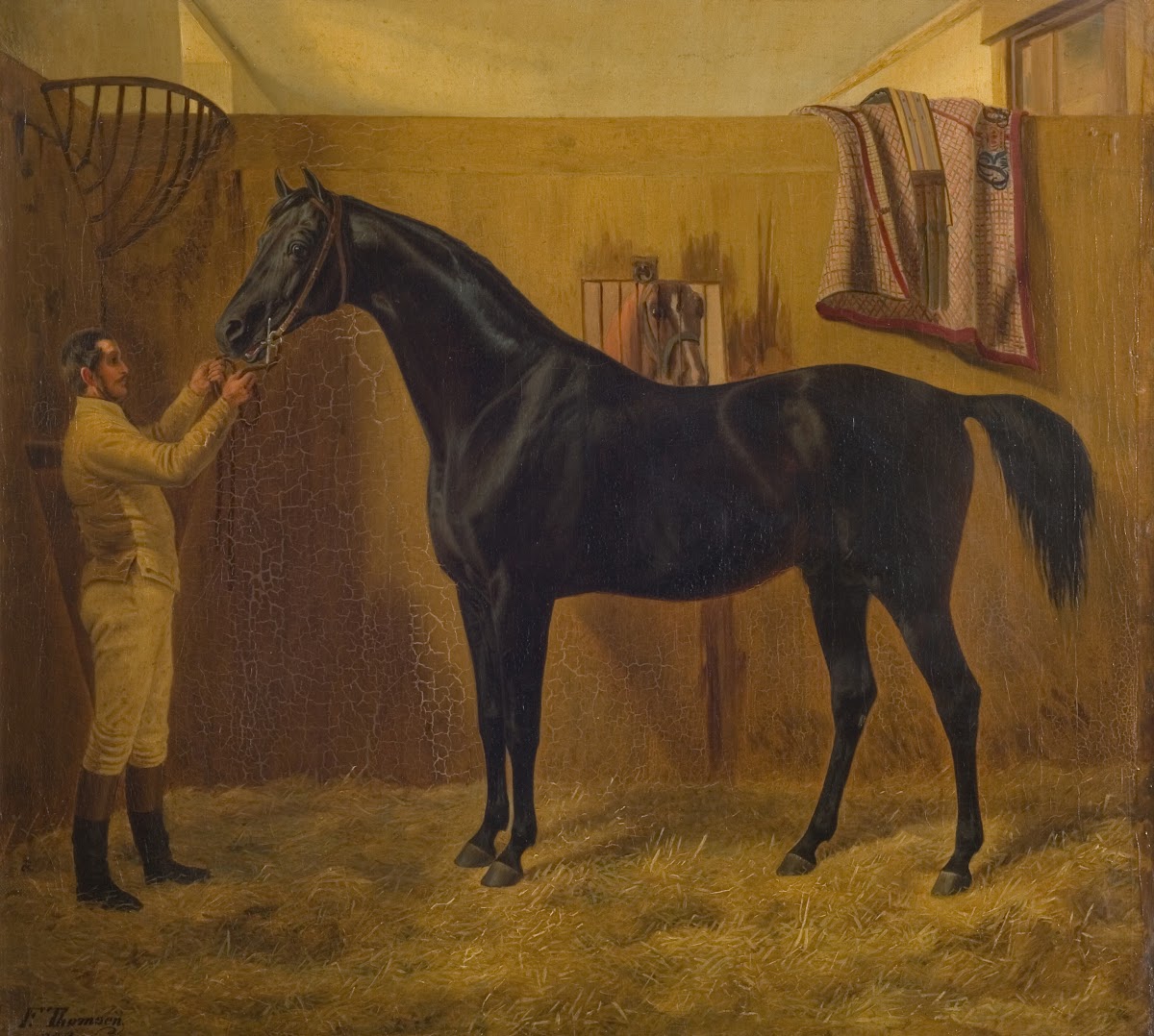 Black Comet 1848   1849