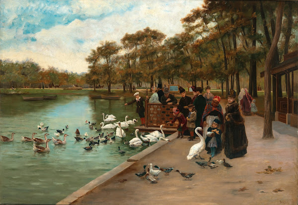Feeding Swans