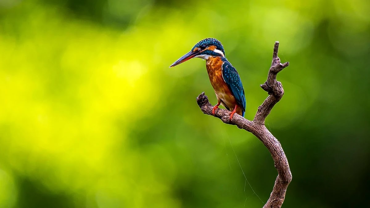 인터넷 요금제 비교와 가입