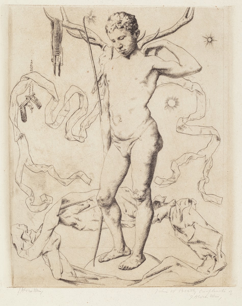 Arcturus 1893