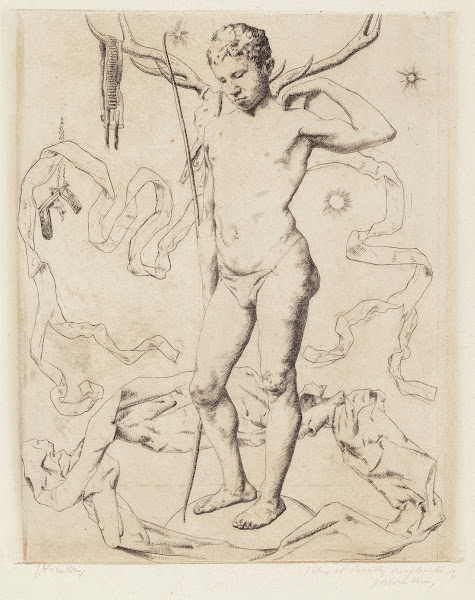 Arcturus 1893