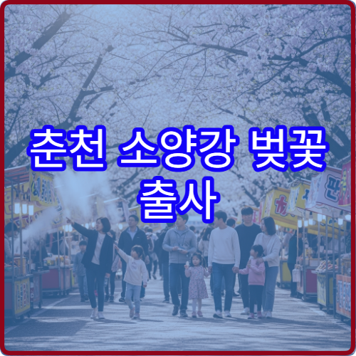 춘천 소양강 벚꽃 출사 황금 시간 사진작가 추천 스팟 TOP