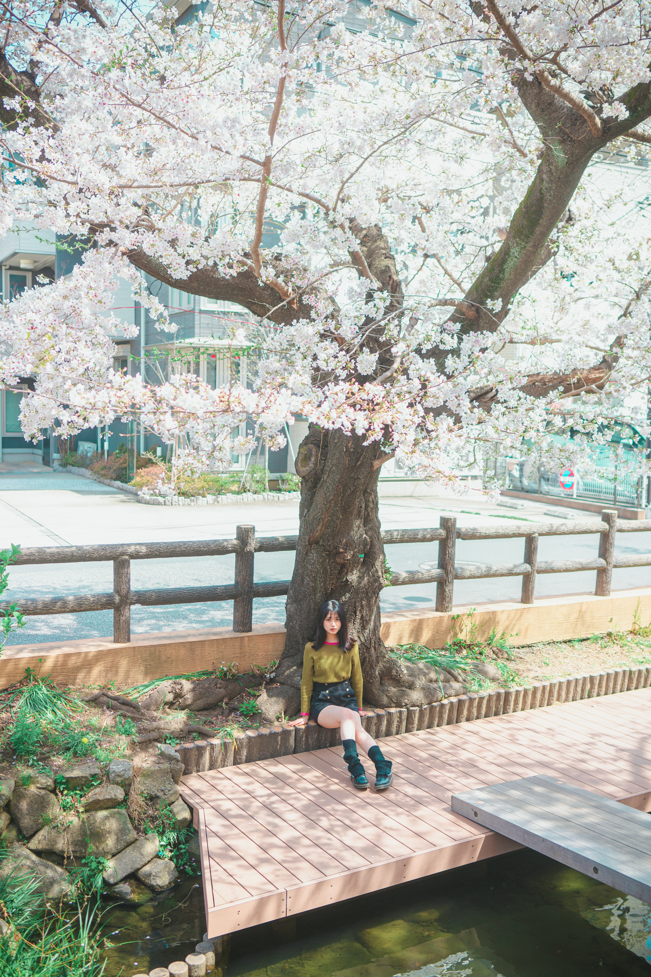 Portrait — Makino Shota
