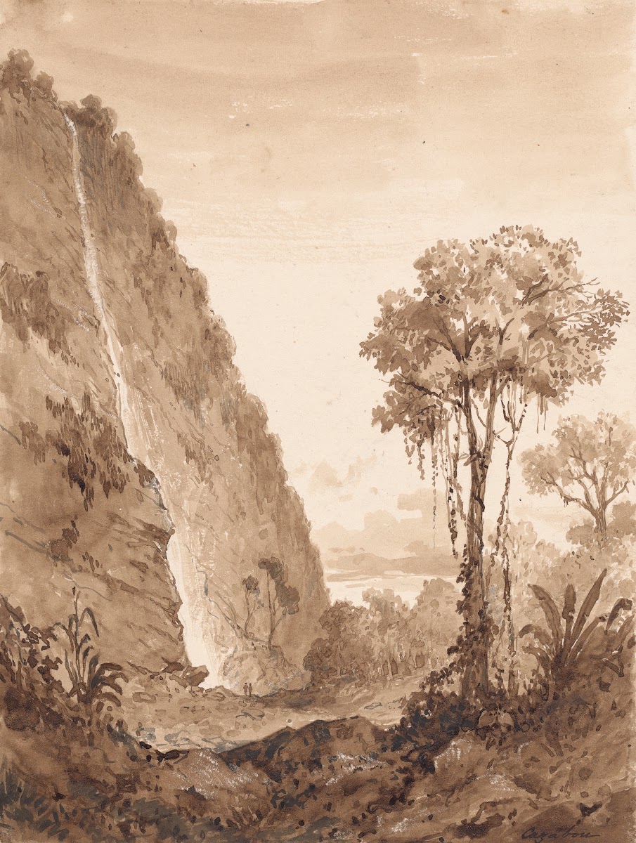 Maraccas Waterfall
