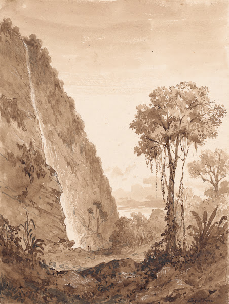 Maraccas Waterfall