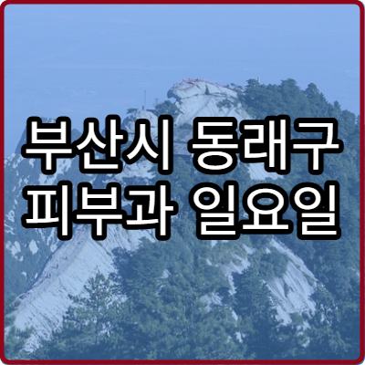 부산시 동래구 피부과 일요일 진료 병원 여드름 잡티 치료 가능한 주말 병원