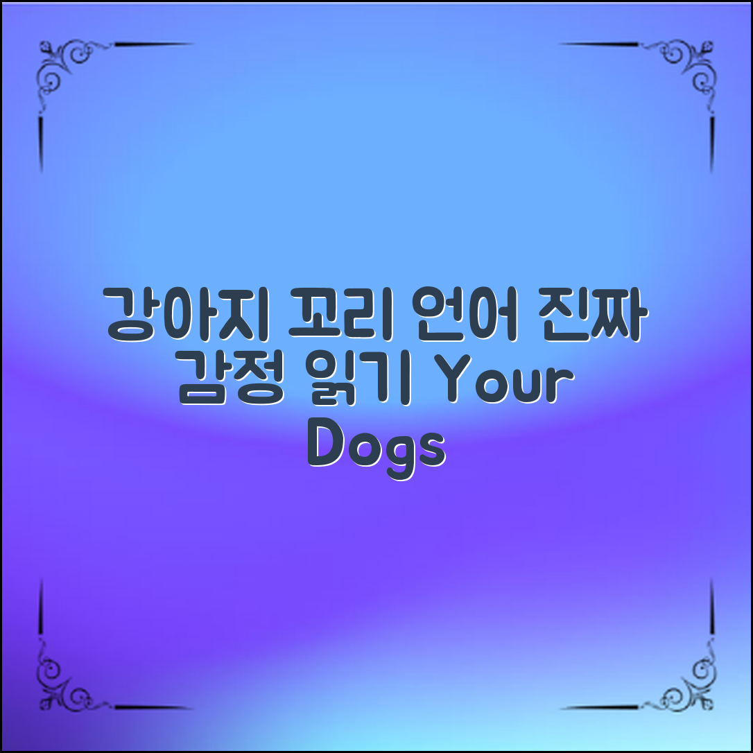 강아지꼬리언어로 알아보는 반려견의 진짜 감정