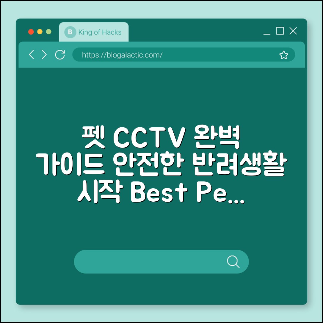 펫 CCTV 카메라 완벽 가이드: 안전한 반려생활