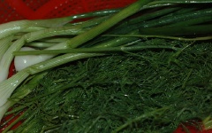 Hành lá, thì là rửa sạch, để ráo nước, cắt nhỏ, cho ra đĩa.