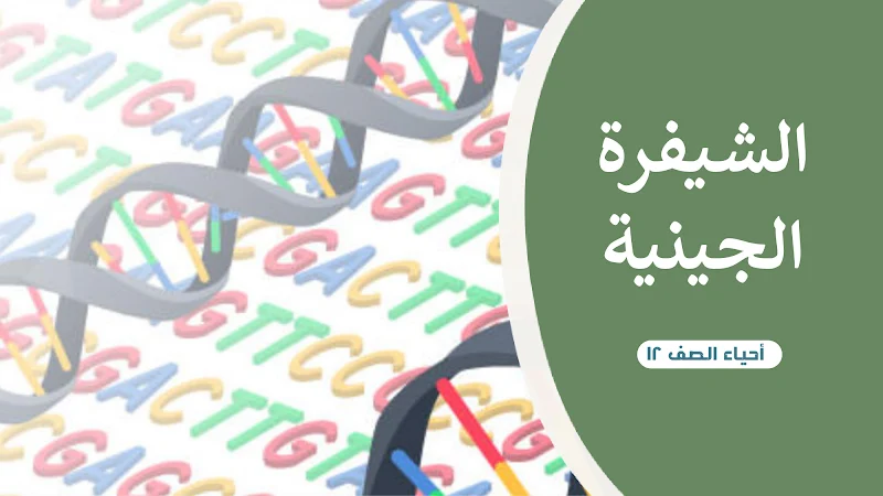 صورة الغلاف