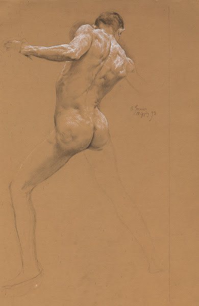 Standing Male Nude from Behind 1893