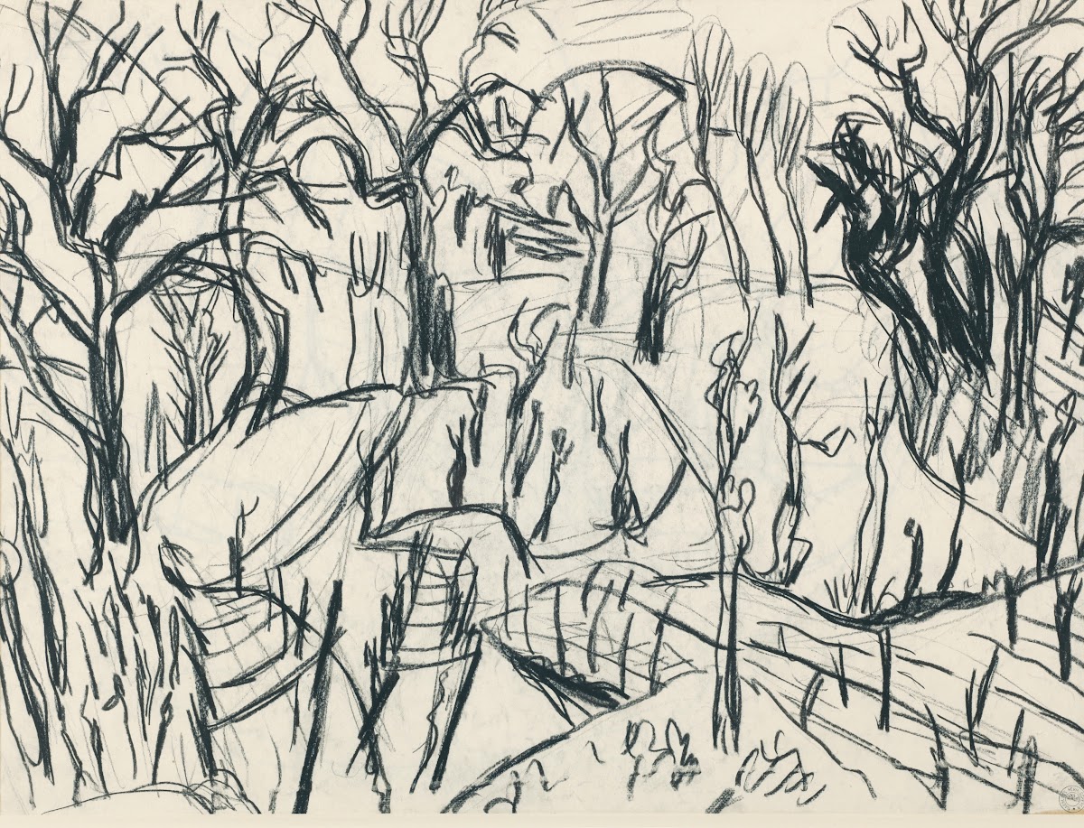 Landscape in ticino