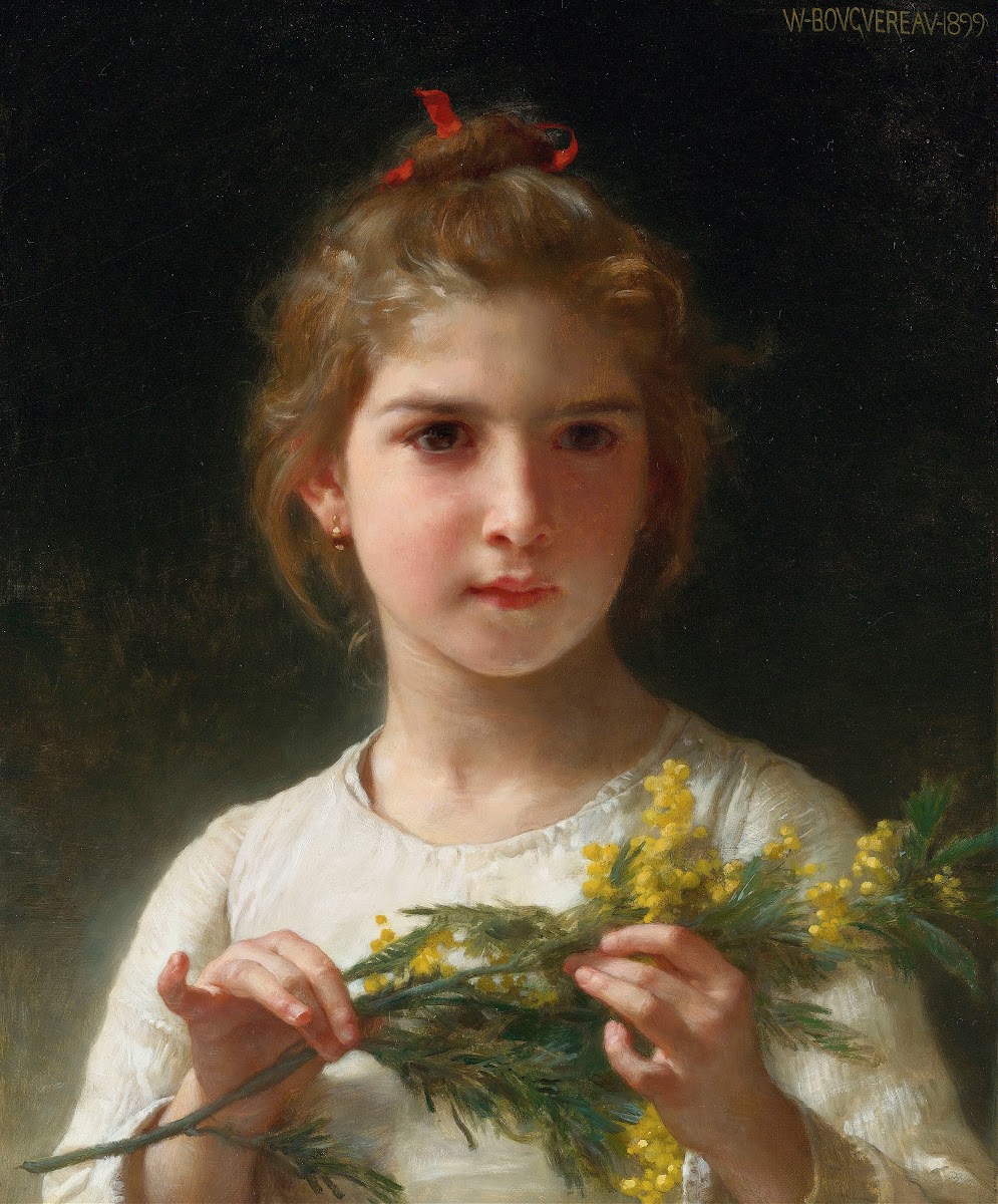 Mimosa 1899