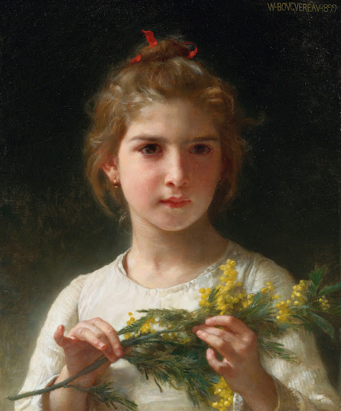 Mimosa 1899