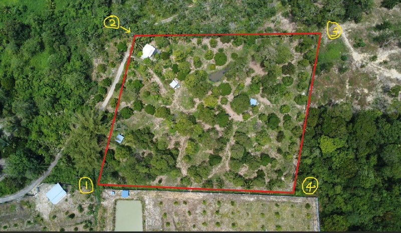 Private Ranch & Dusun Durian Musang King, Raub — Raub, Pahang