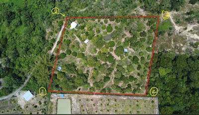 Private Ranch & Dusun Durian Musang King, Raub — foto 1/10