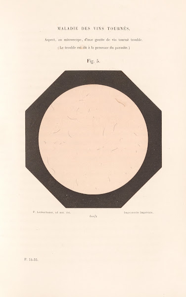 Études Sur Le Vin Pl02 1866