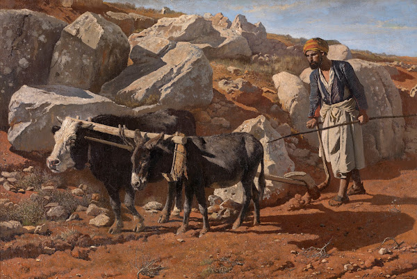Plough Ox and Mule with Fellah 1876