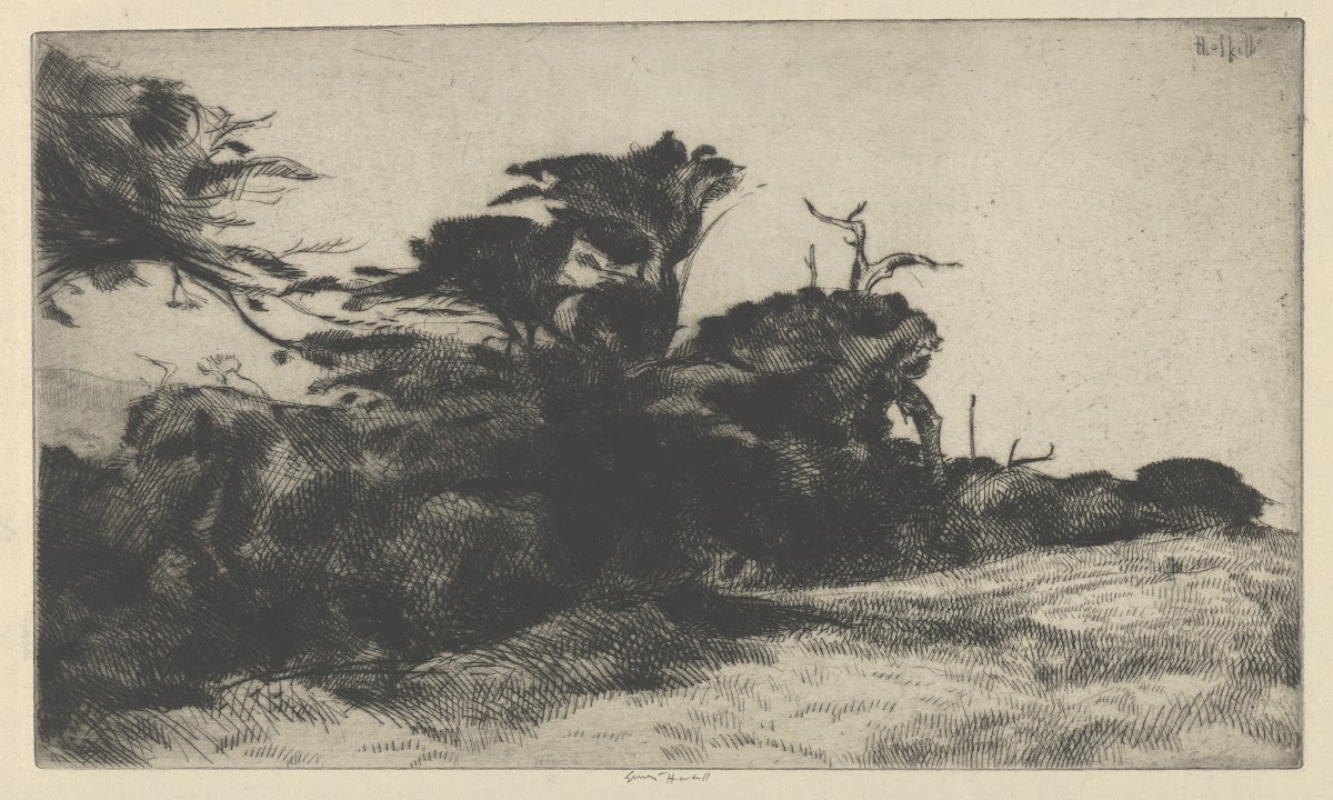 Cypress Study No 2 1915