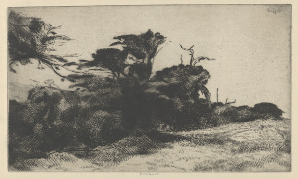 Cypress Study No 2 1915