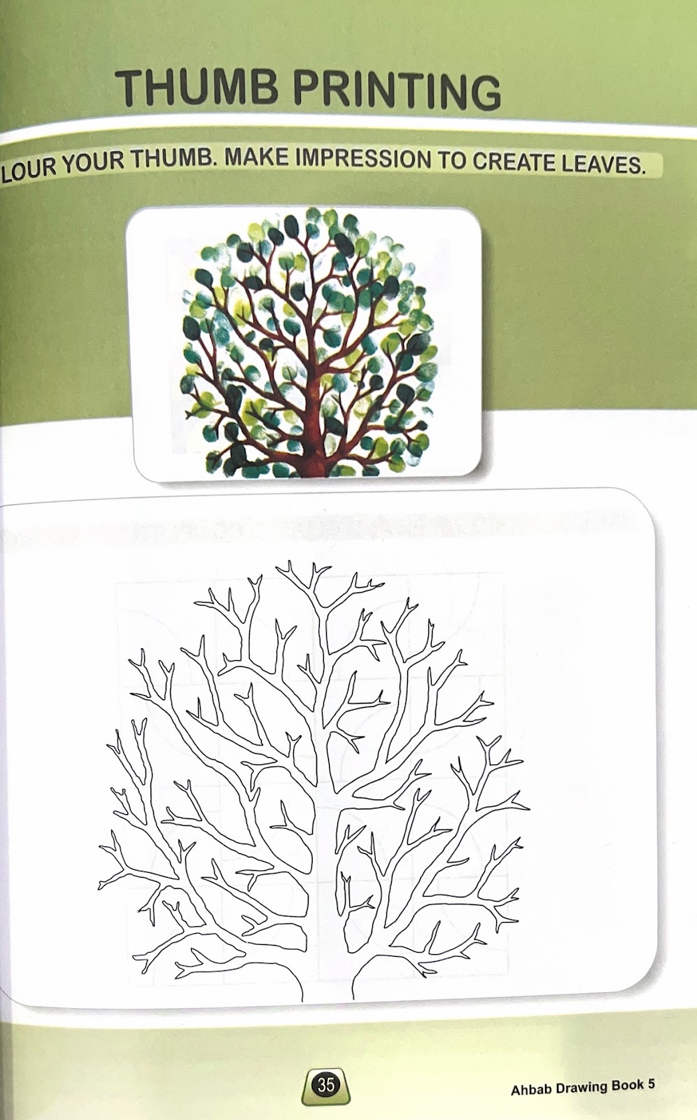 Drawing Book 5