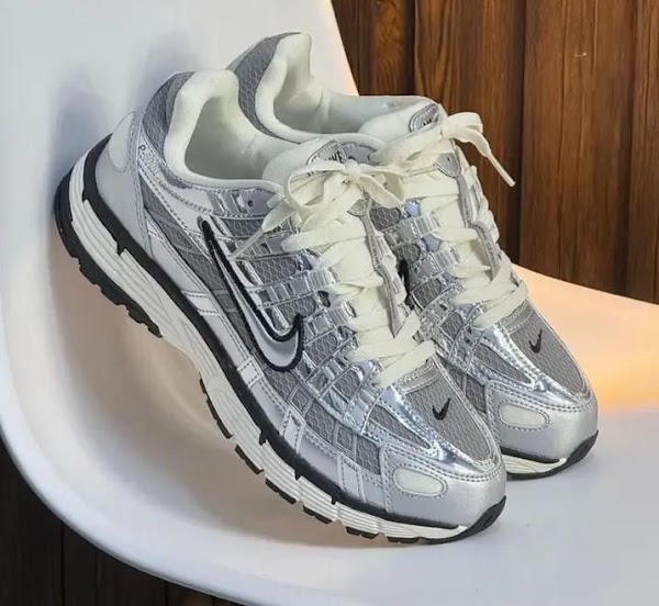 Nike P-6000 Plateado