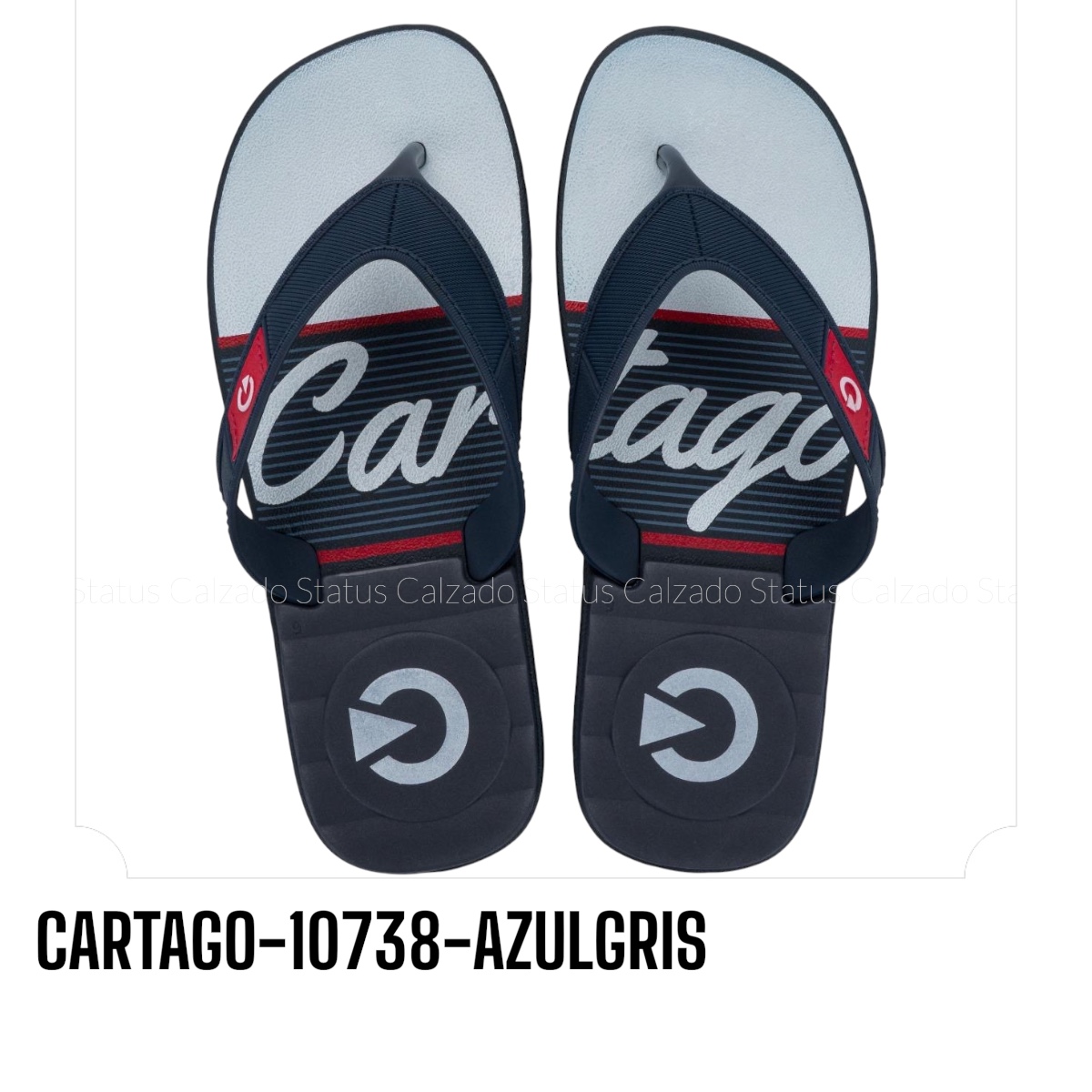 CARTAGO-10738-AZULGRIS