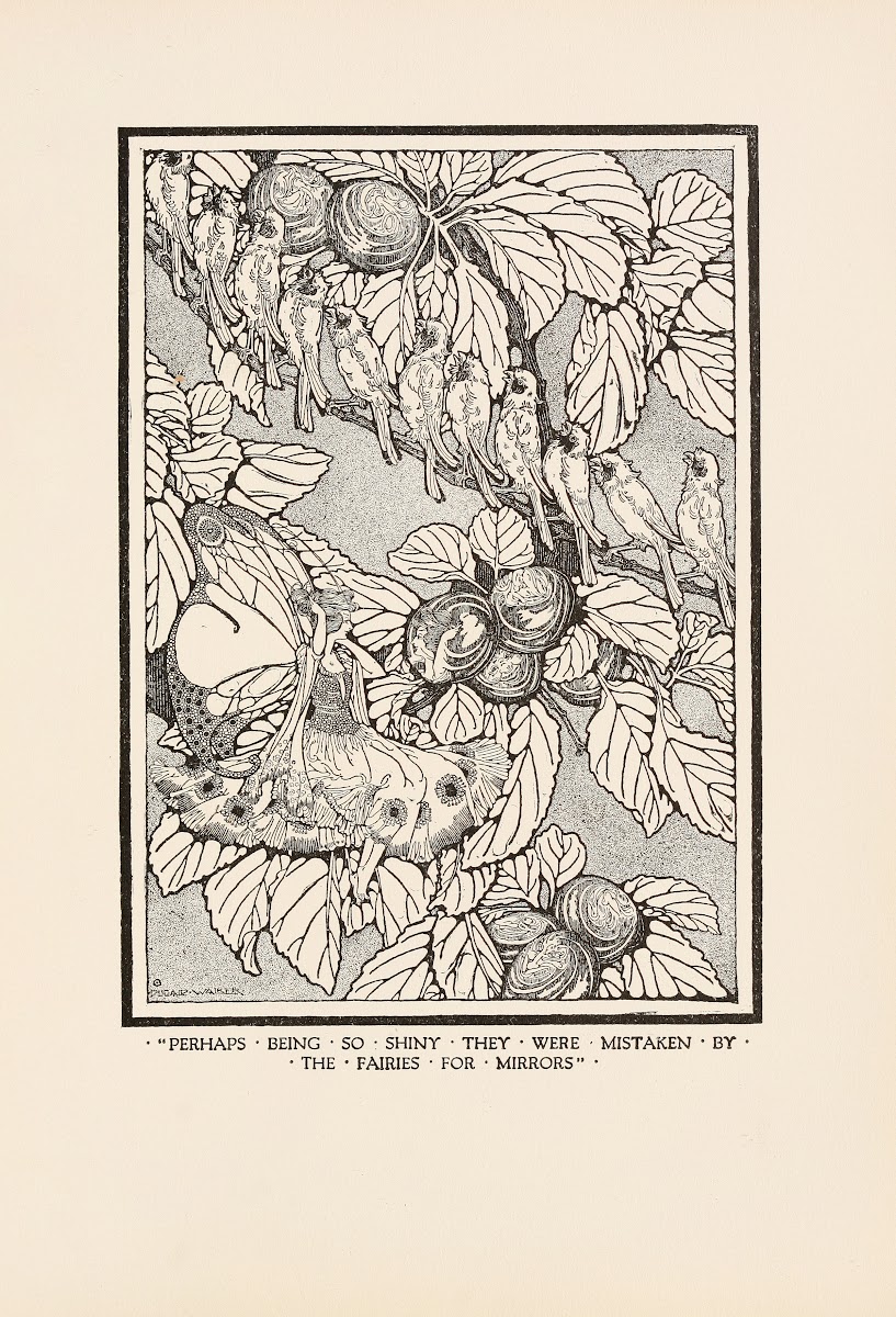 Perhaps being so shiny they were mistaken by the fairies for mirrors 1920