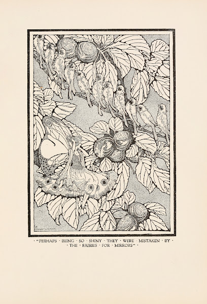 Perhaps being so shiny they were mistaken by the fairies for mirrors 1920