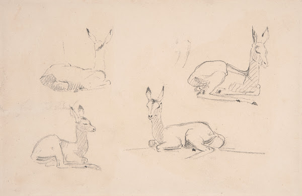 Studies of Pallah Deer Resting ca 1801