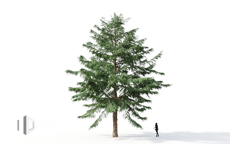 Maxtree - Plant Models Vol.9