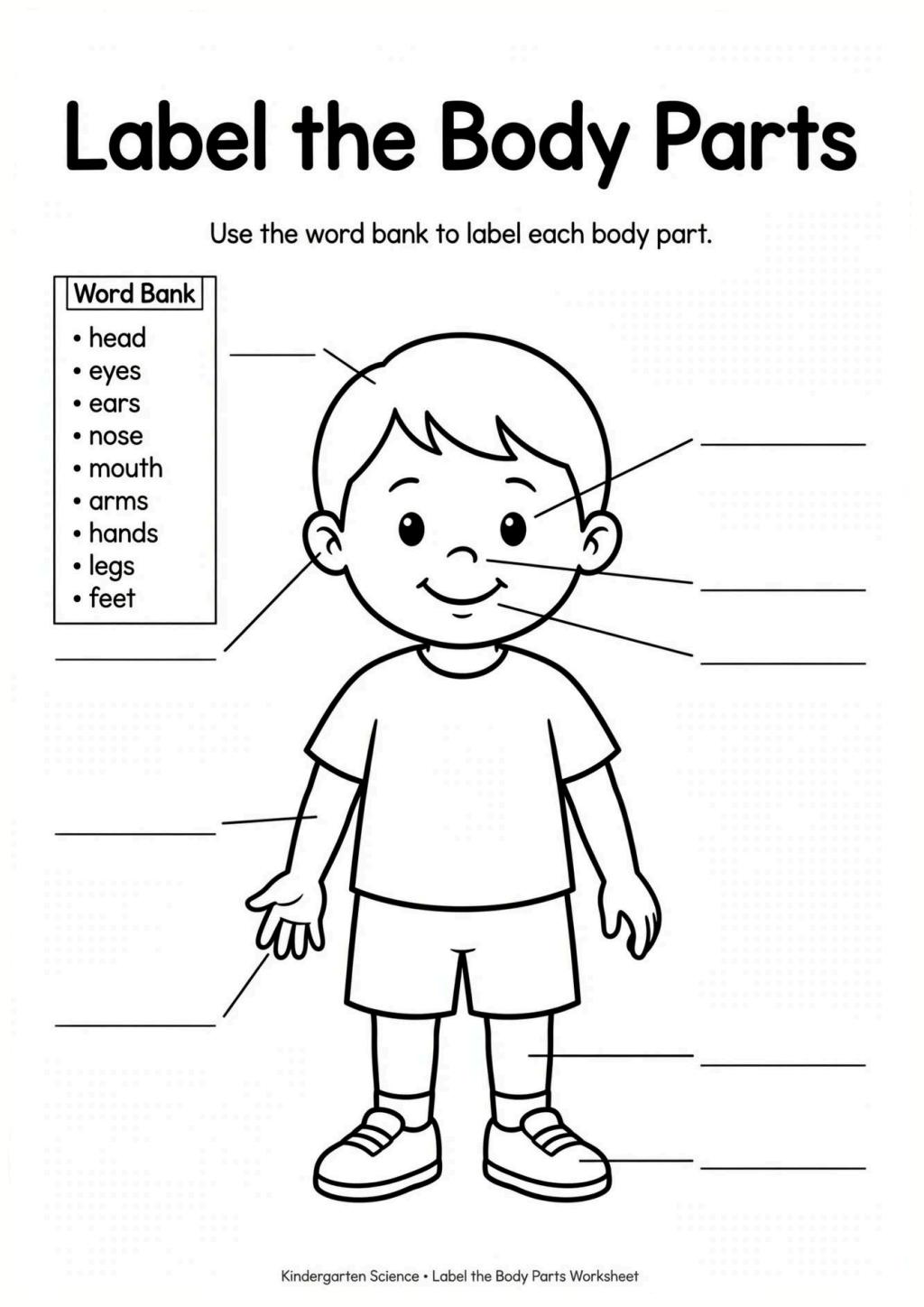 Label the Body Parts