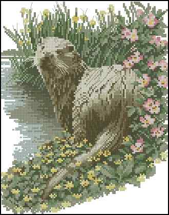 CMP 400542 Otter