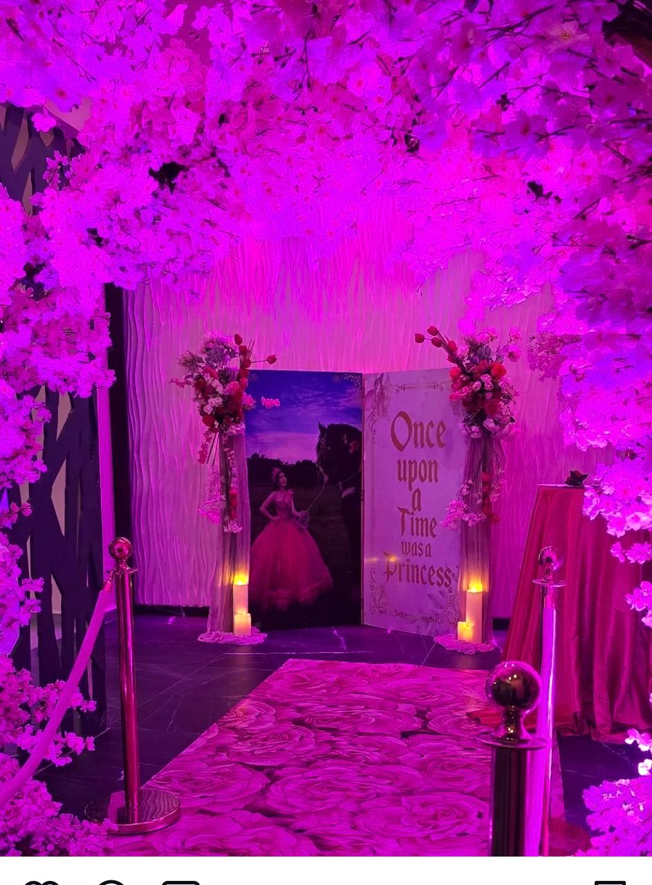 XV Años - Quinceañeras - Marbella Princess Parties Tijuana