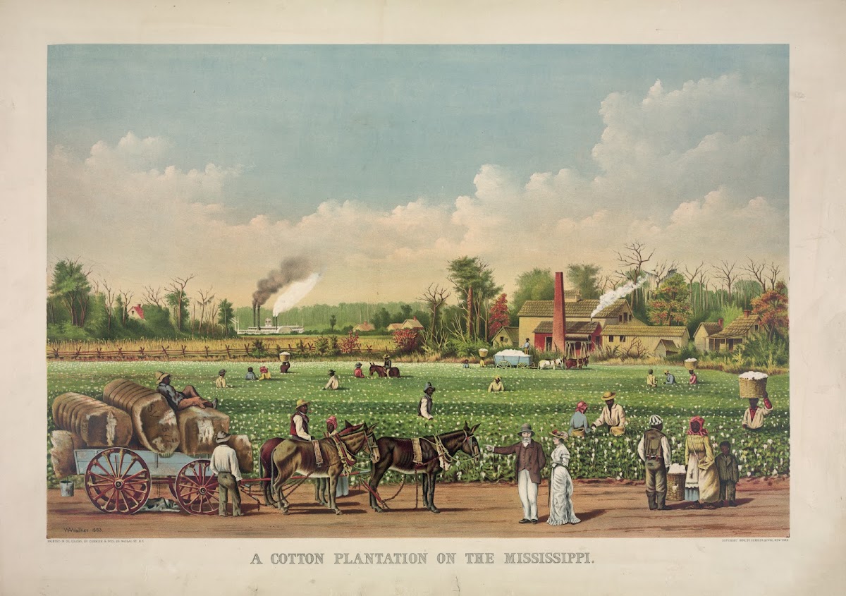 A cotton plantation on the Mississippi 1884
