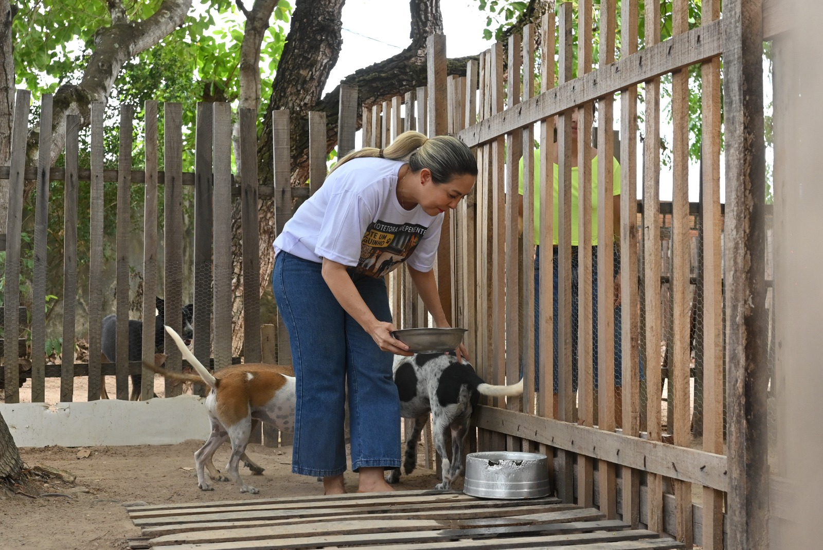 Protetora de animais cuidando de cães resgatados em abrigo de Boa Vista pelo Bem-Estar Animal Roraima