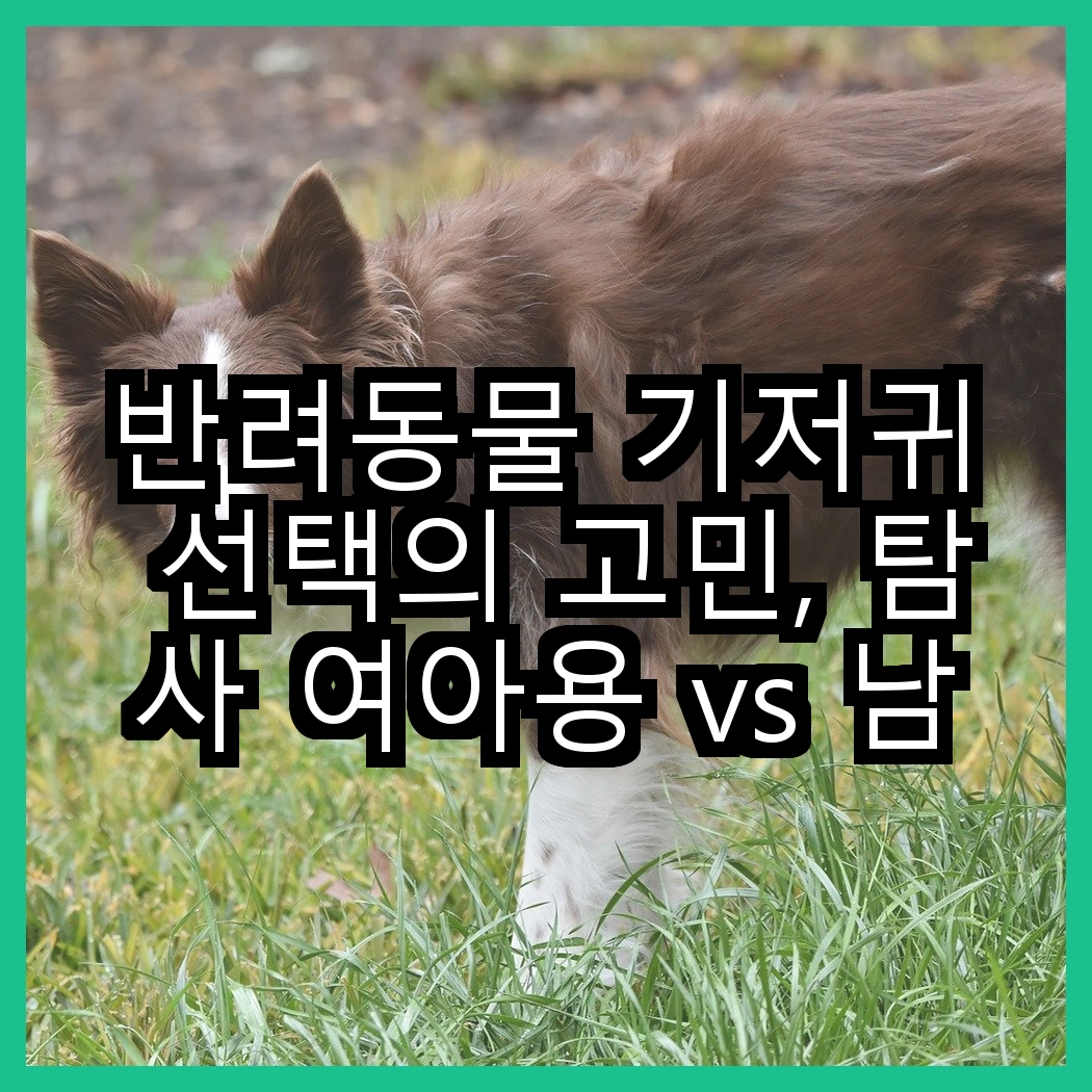 반려동물 기저귀 선택의 고민, 탐사 여아용 vs 남아용 기저귀, 어떤 차이가 있을까? 썸네일