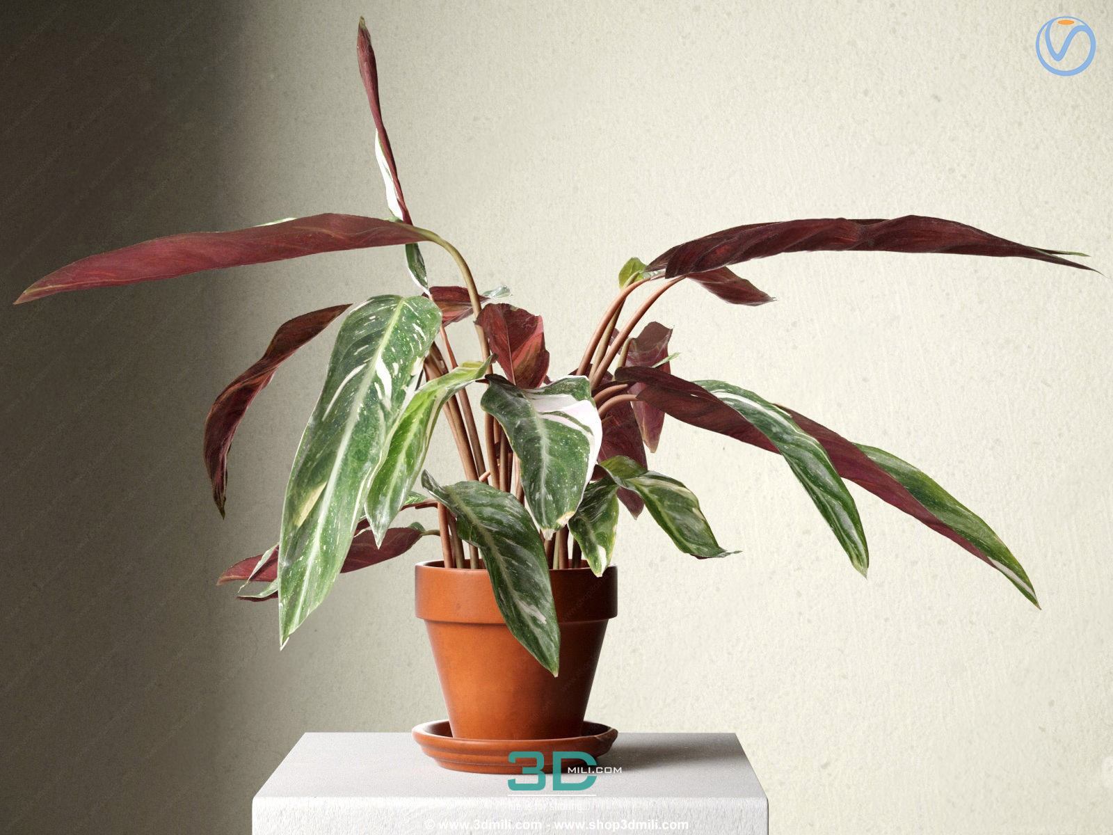 978.Sell Album Indoor Plant PRO Vol 01