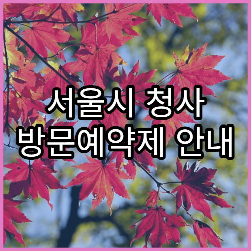 서울시 청사 방문예약제 안내 | 민원대기 줄 없이 처리